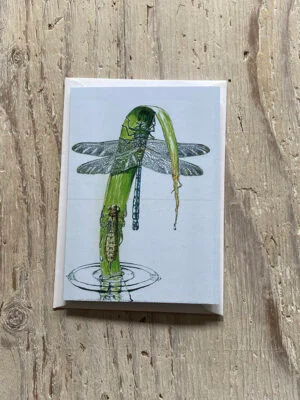 Emperor Dragonfly Greetings Card